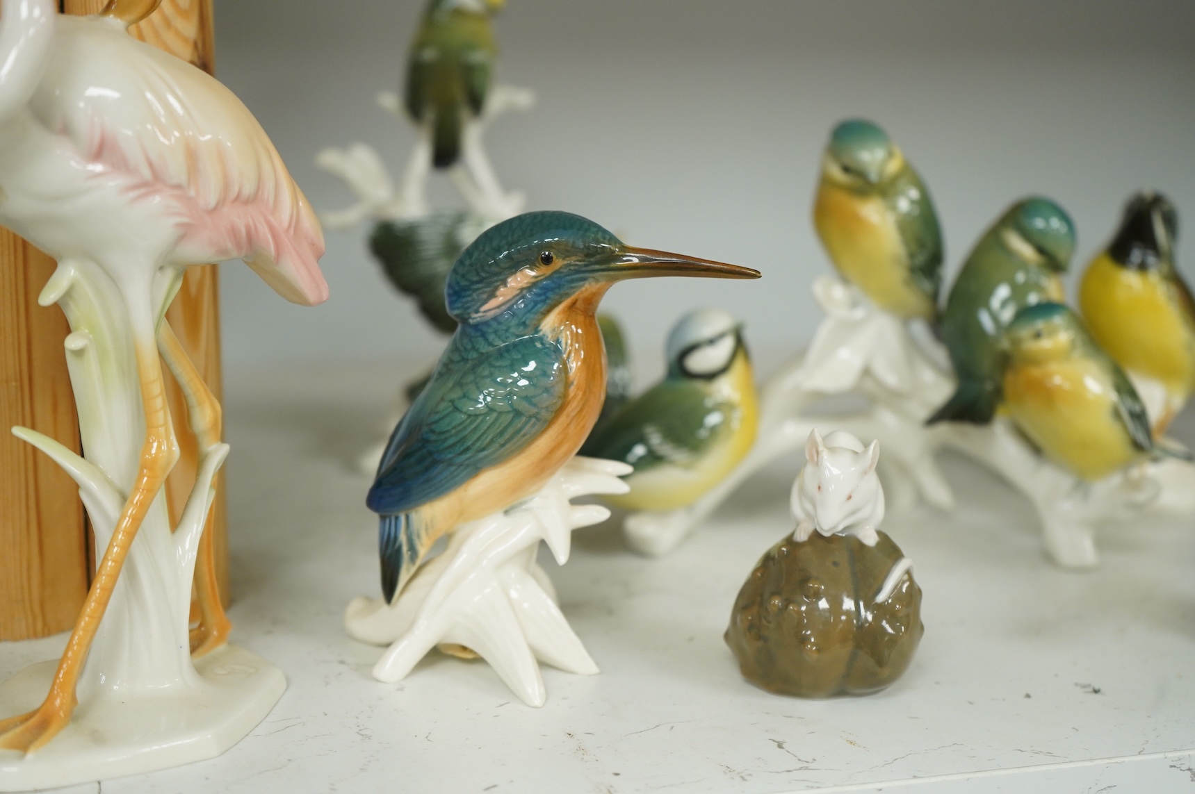A collection of Copenhagen and other German porcelain birds, tallest 20cm